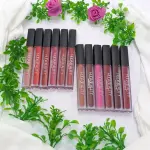 Tasha Beauty Matte Lipgloss 12 Pcs Set - Long Lasting Lipgloss - Premium Quality Lipgloss Set