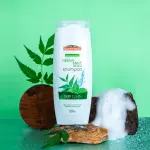 Saeed Ghani Neem And Mint Refresh Shampoo Neem Mint