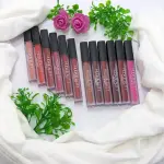 Tasha Beauty Matte Lipgloss 12 Pcs Set - Long Lasting Lipgloss - Premium Quality Lipgloss Set